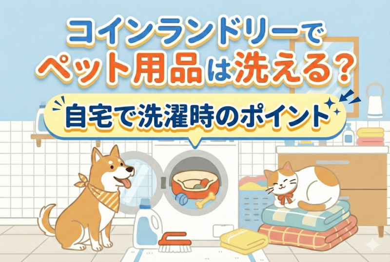 ペット用品の洗濯についての記事のサムネイル