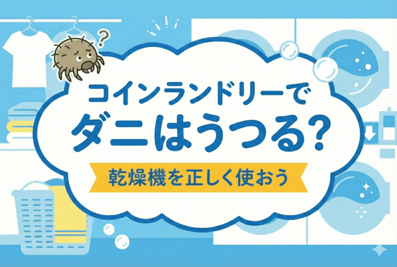 コインランドリーとダニについての記事のサムネイル