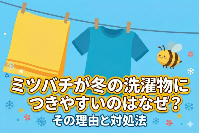 ミツバチと洗濯物のイメージ